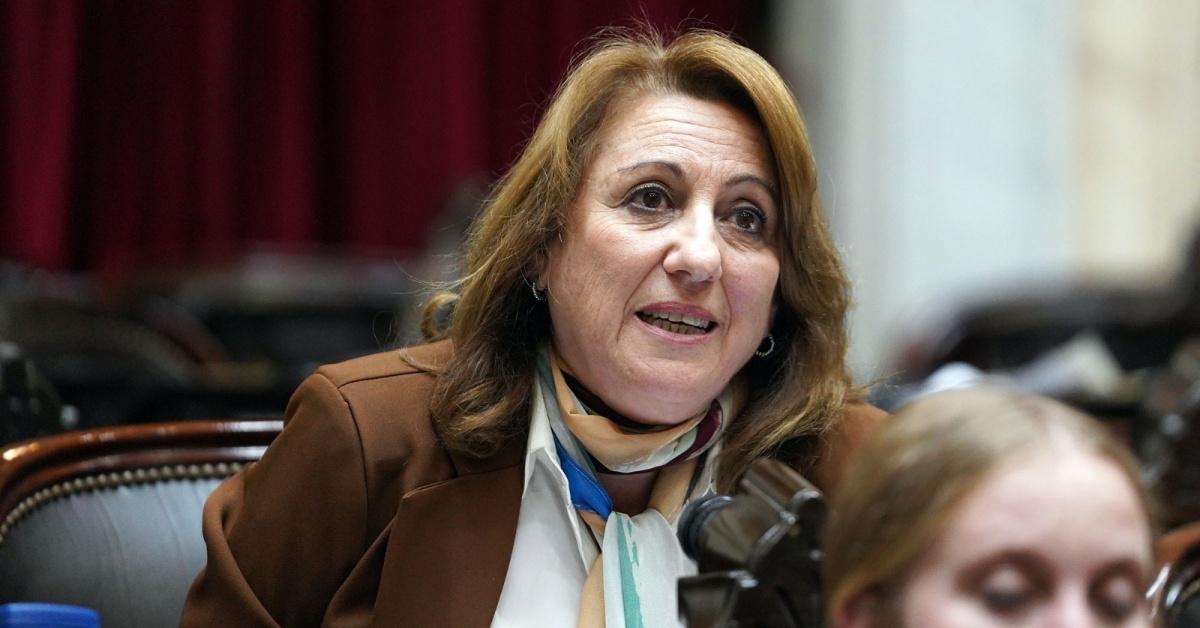 Mónica Fein: “El veto presidencial es un golpe a los jubilados más vulnerables”