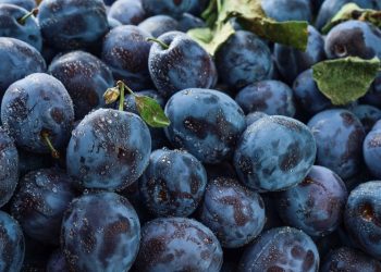 Oro negro: la fruta poco conocida que está repleta de antioxidantes, produce colágeno y fortalece los huesos