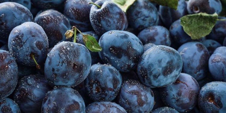 Oro negro: la fruta poco conocida que está repleta de antioxidantes, produce colágeno y fortalece los huesos