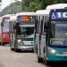 Paro de colectivos: la lista completa de líneas que circulan este martes