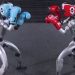 Robots humanoides protagonizaron un nuevo espectáculo de boxeo