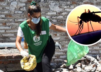 URGENTE: Alerta sanitaria en Santa Fe por aumento alarmante de casos de Dengue