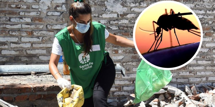 URGENTE: Alerta sanitaria en Santa Fe por aumento alarmante de casos de Dengue