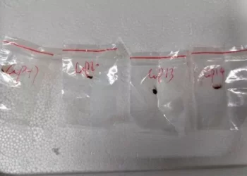 Estados Unidos detiene a científica china en Detroit por contrabando de material biológico