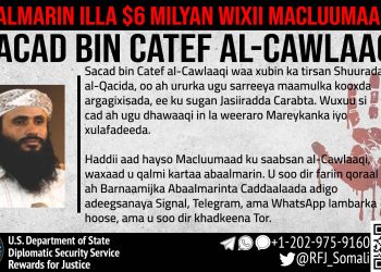 Al-Qaeda lanza amenazas contra Donald Trump y Elon Musk y convoca a atacar a líderes regionales**