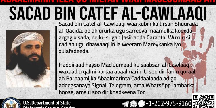 Al-Qaeda lanza amenazas contra Donald Trump y Elon Musk y convoca a atacar a líderes regionales**