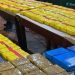 Detienen dos gendarmes con 161 kilos de cocaína por un valor de U$S240.000.¿Operaban solos o para alguien mucho mas arriba?