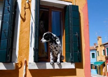 Dario Amodei, CEO de Anthropic, sobre la IA: “No se trata de frenar el tren, sino de dirigirlo unos grados antes de que sea tarde”