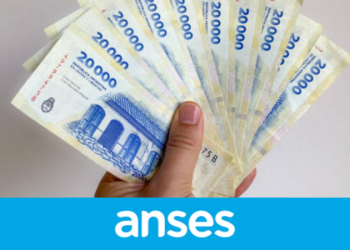 ANSES: el Gobierno pagará $ 317.800 en julio a quienes completen este formulario