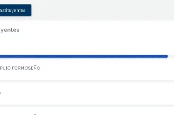 Formosa: el PJ de Insfrán se impone y La Libertad Avanza araña el 10%