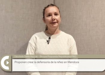 Insiste, pero no la escuchan: el proyecto para crear un Defensor del Niño sigue estancado en Mendoza
