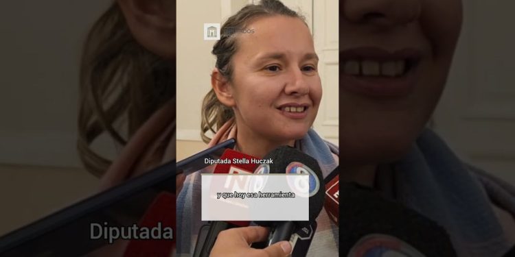 La Cámara de Diputados aprobó el proyecto de suspensión de las PASO en Mendoza