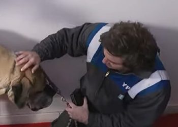 Karina Milei reveló que despidió a un colaborador por hablar despectivamente de Conan, el perro presidencial