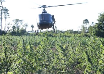 Histórico golpe al narcotráfico contra 62 campamentos narco, pero realizado entre Brasil Paraguay
