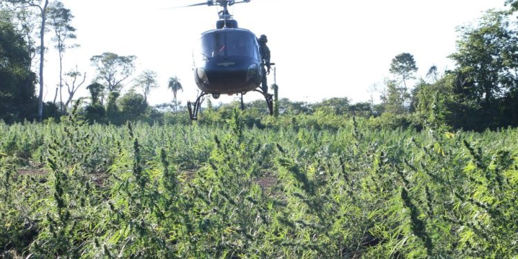Histórico golpe al narcotráfico contra 62 campamentos narco, pero realizado entre Brasil Paraguay