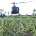 Histórico golpe al narcotráfico contra 62 campamentos narco, pero realizado entre Brasil Paraguay