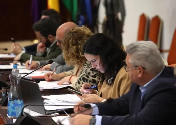 Un juez investiga a una diputada provincial del PSOE en Córdoba por maltratar a su marido