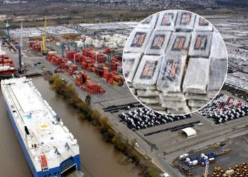 Allanaron la terminal de Zárate tras detectarse 222 kg de cocaína en Bélgica; alerta sobre envíos argentinos a Europa sin control efectivo