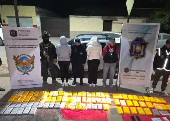 Secuestran 89 kilos de cocaína en Salta de forma casual: La magnitud del tráfico en Argentina con aprox 30 toneladas que ingresan anualmente.