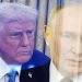 Fue anticipo de TNA: Trump reduce a 10 días el ultimátum a Putin y exige un alto el fuego inmediato en Ucrania
