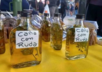 Caña con ruda del 1 de agosto: cómo hacer el ritual para atraer protección y salud