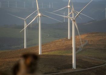 El neocolonialismo energético: la energía renovable crece donde menos se consume