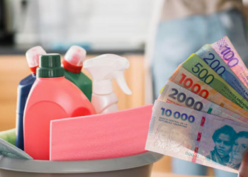 Empleadas domésticas con aumento confirmado: cuánto cobra una cuidadora en julio