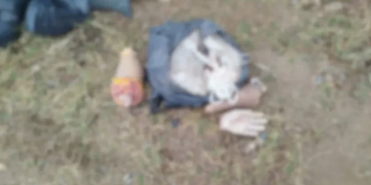 Horror en Córdoba: un sereno halló una mano y un brazo en una bolsa de consorcio