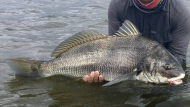 Precioso destino de pesca de pejerrey y corvina negra: tiene pique y queda a sólo 2 horas de CABA