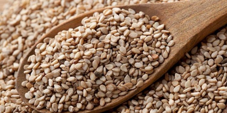 Las semillas repletas de calcio para fortalecer los huesos, evitar la osteoporosis y prevenir enfermedades