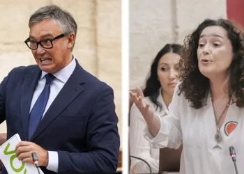 El veinte por ciento de los diputados omite su currículum al no estar obligado por el Parlamento