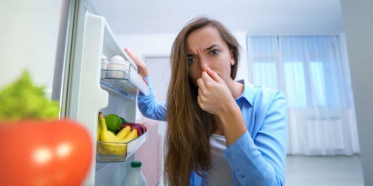 Ni desodorante ni perfume: el elemento natural que quitará los malos olores de tu casa para siempre