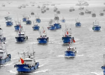 Tierra del Fuego denuncia pesca ilegal en Malvinas y presenta reclamos formales contra España, China-Taiwán y Corea del Sur