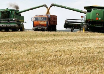 Retenciones en la mira de Javier Milei: qué le dijo al campo en Palermo