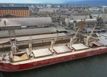 China rechaza cargamento argentino de 300.000 toneladas de soja por presunto fraude de origen