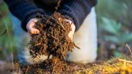 La sustentabilidad en el agro puede ser rentable