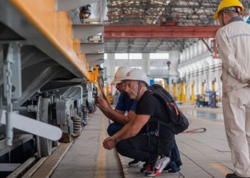 Trenes Argentinos Cargas realiza la mayor compra en 10 años: cómo impacta en la industria agrícola