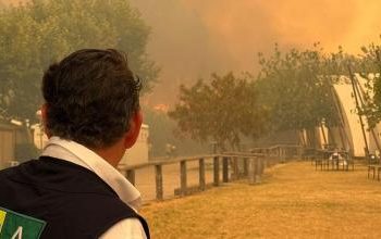 Evacuados hoteles, campings, chiringuitos y 5.000 vehículos por el incendio de Tarifa