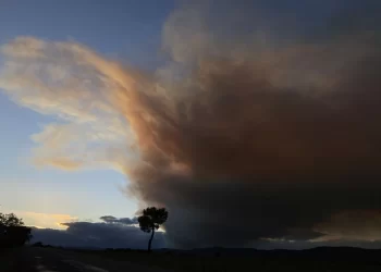 Susto en Ólvega (Soria) en una jornada ‘tranquila’ en la que la Junta rebaja a nivel 0 todos sus incendios