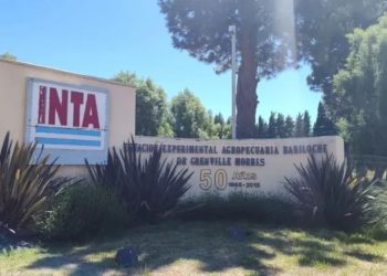 Afuera: tras el rechazo en Diputados, el Gobierno oficializó cambios en la estructura del INTA