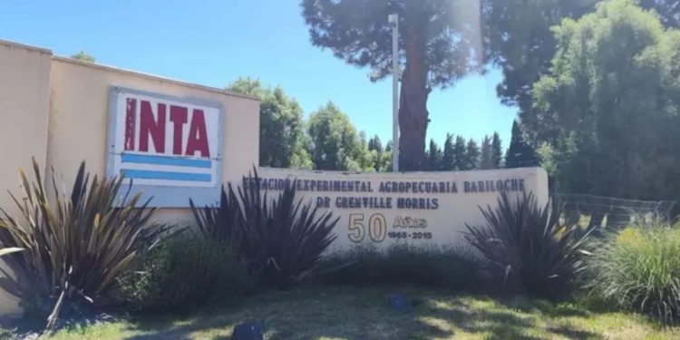 Afuera: tras el rechazo en Diputados, el Gobierno oficializó cambios en la estructura del INTA