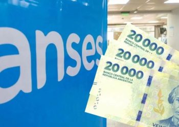 ANSES pagará $ 322.000 la última semana de agosto a todos los que cumplan con este requisito