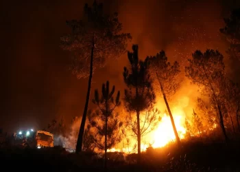 Dos nuevos incendios permanecen activos en Lugo y Pontevedra