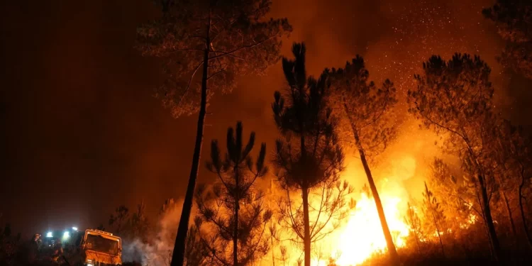 Dos nuevos incendios permanecen activos en Lugo y Pontevedra