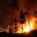 Dos nuevos incendios permanecen activos en Lugo y Pontevedra