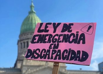 Diputados rechaza veto a Ley de Emergencia en Discapacidad y ahora el Senado decidirá. Dos de LLA dieron quórum