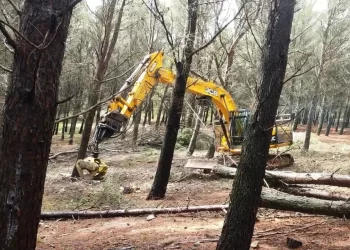 Calefacciones de biomasa para luchar contra los incendios forestales en Málaga