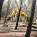 Calefacciones de biomasa para luchar contra los incendios forestales en Málaga