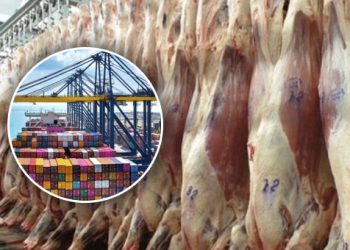 Argentina importa récord de carne brasileña en 2025, la mayor desde 1997