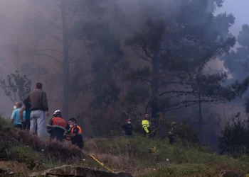 Un detenido cazado mechero en mano y varias investigaciones en marcha por la ola incendiaria en Galicia